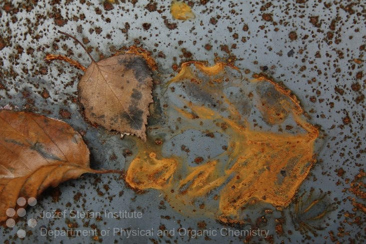 Rust, Leaves and Atmospheric Corrosion Rust, Leaves and Atmospheric Corrosion